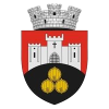 PRIMĂRIA ORAȘULUI  CRICOVA